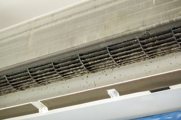 Best HVAC Maintenance and Cleaning  in Marbleton, WY